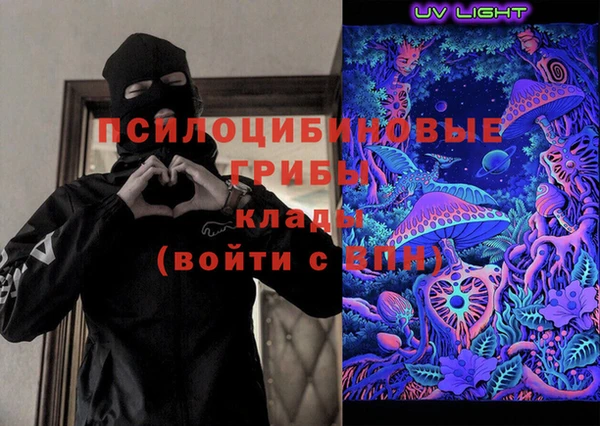 spice Гусиноозёрск