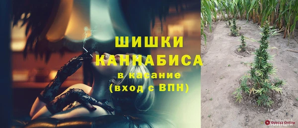 spice Гусиноозёрск