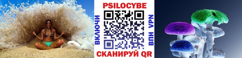 hydra зеркало  Протвино  Галлюциногенные грибы Psilocybe 