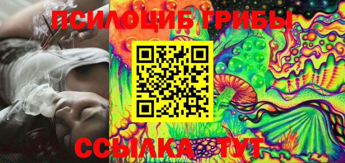 Псилоцибиновые грибы мицелий Протвино