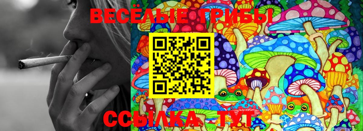 Протвино  Галлюциногенные грибы GOLDEN TEACHER  Псилоцибиновые грибы мухоморы  Вход с VPN 