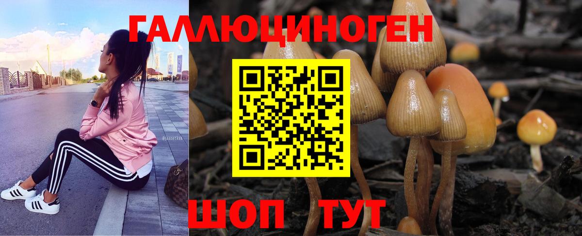 Протвино  ГАШ  МЕФ   ЭКСТАЗИ  ГАШ  Вход с VPN  Метамфетамин 
